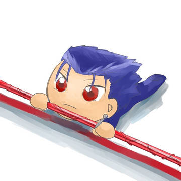ランサーぶすぬい
