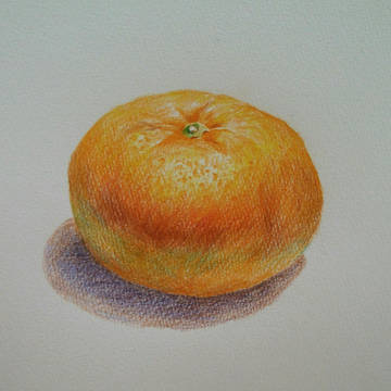 dessin