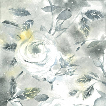 winter rose