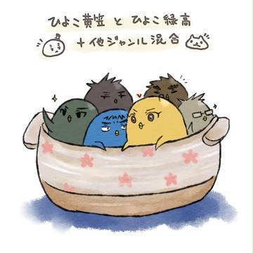 ひよこTL詰め合わせ3