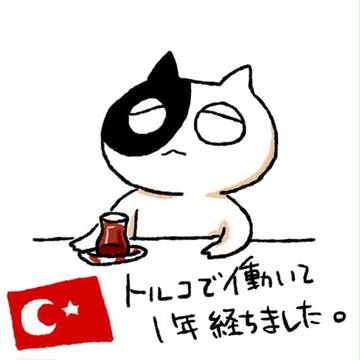 トルコ実録