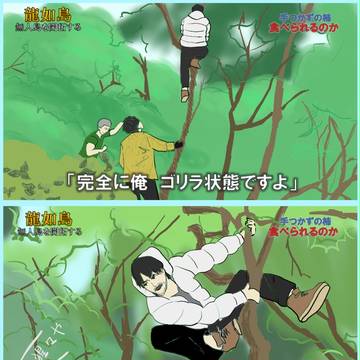 龍が如く島　その２