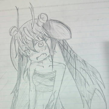 シャコっ娘