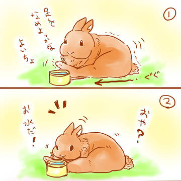 うさぎ日記