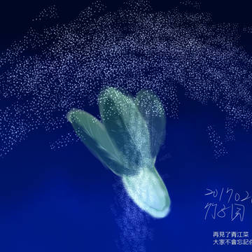 青江菜與星空