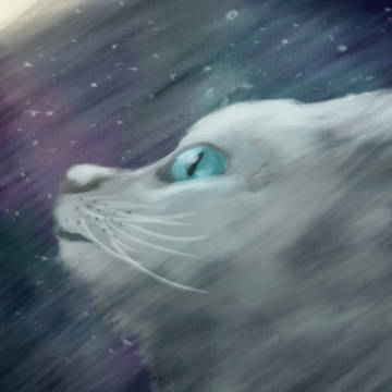 月と猫