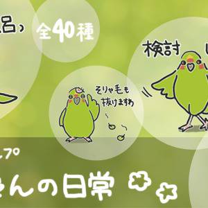 【告知】きみちゃんの日常 LINEスタンプ販売中