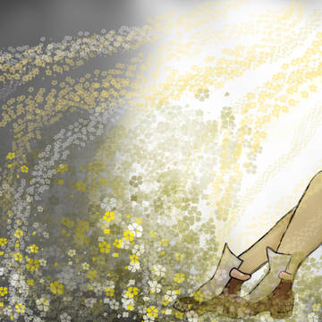 Buttercups