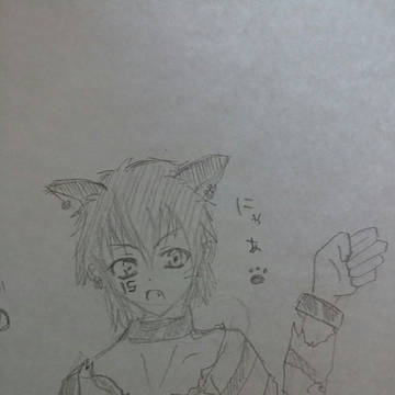 ねこ15
