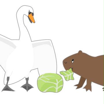白鳥とカピバラ