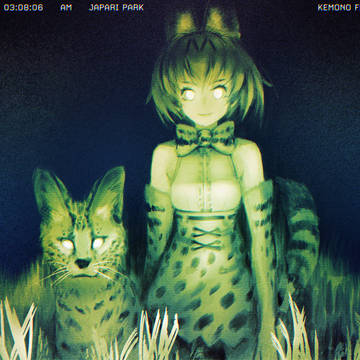 夜行性フレンズ