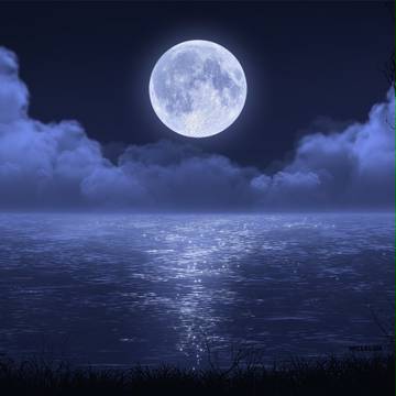 Night Lake Scene