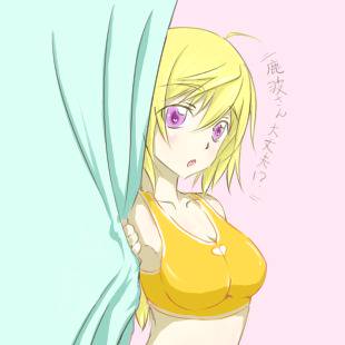 シャルロット・デュノアverバカテス秀吉水着(トランクス白)
