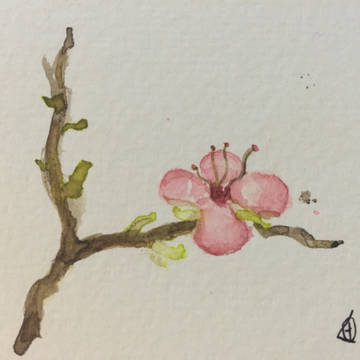 一隻桃花