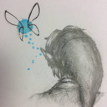 link and navi