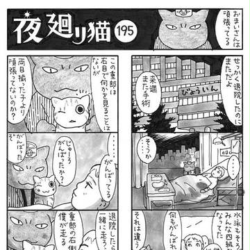 夜廻り猫・21