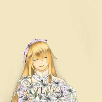 Lilium candidum