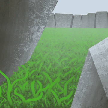 奇妙な風景