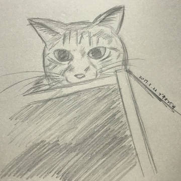 猫の日2017