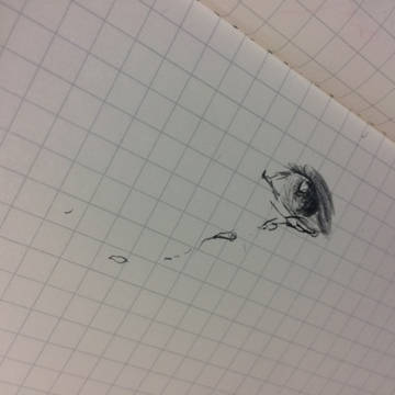 泣き目