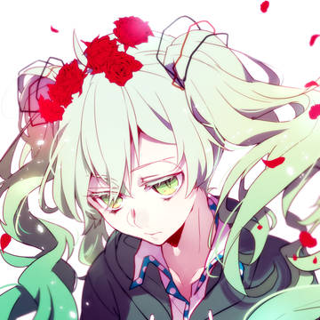エアプランツミクちゃん