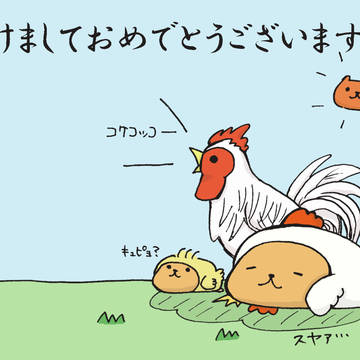 2017年賀