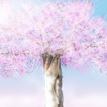 桜花抄