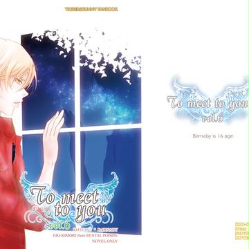 【表紙】 To meet to you 6 【TB 虎兎】