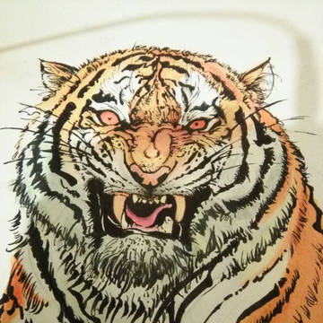 水彩老虎