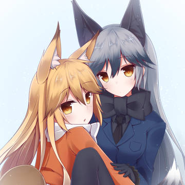 キタキツネとギンギツネ