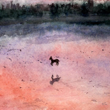 水彩