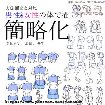 男性女性の体で描く方法简略化補充と対比