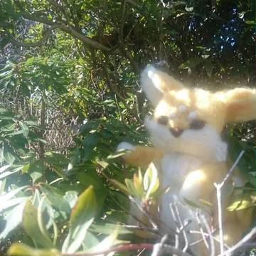 クマラとリムルン様(仮)