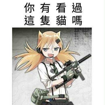 IDW Meow~~~~~~~~~~~~~~~~~~~~~~~~