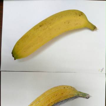 水果画