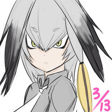 けものフレンズ ハシビロコウちゃん‼️