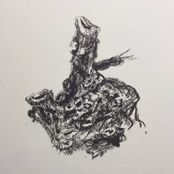 海の何か