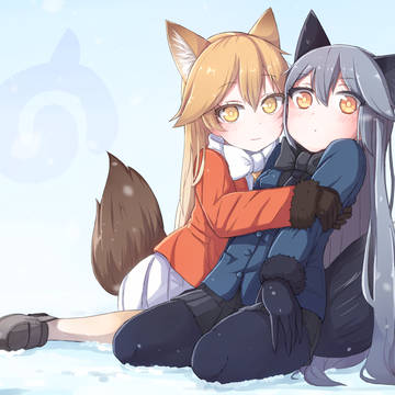 キタキツネとギンギツネ