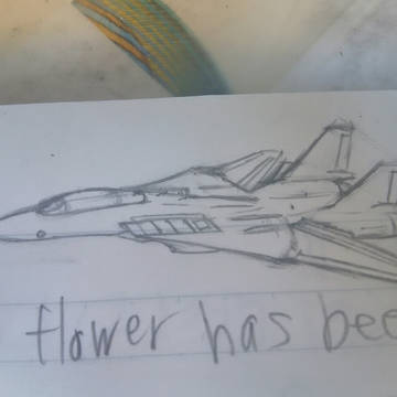F14制空戦闘機