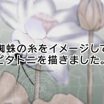 蜘蛛のいと