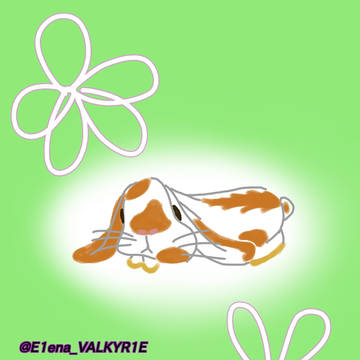 🐰うさぎ🐰