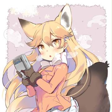 キタキツネ