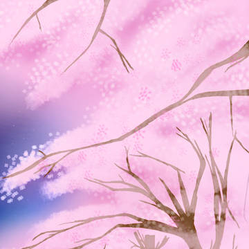 夜桜