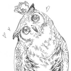 Oul