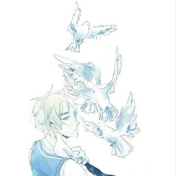 鸽子