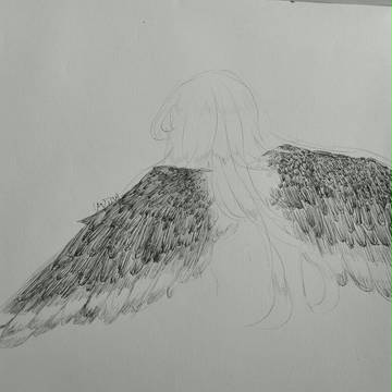 my Wings