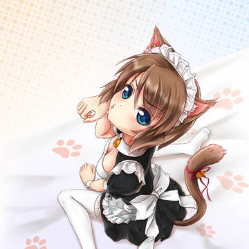 20170313 猫娘