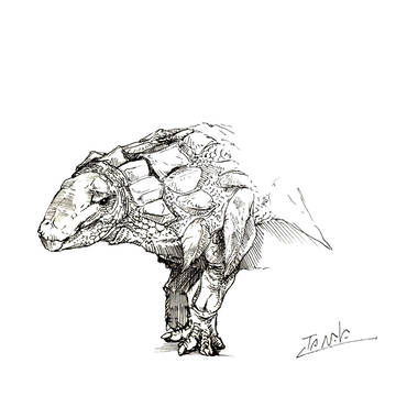 スケッチ・エドモントニア