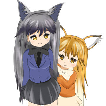 ギンギツネ>キタキツネ