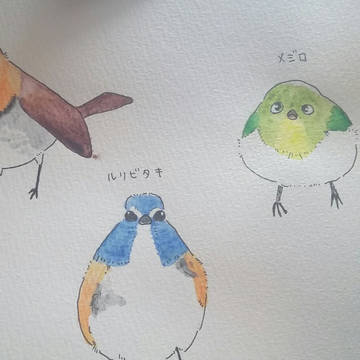 小鳥